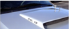 1999-04 Mustang GT Hood Scoop Decal Set - 4.6L V8Designation